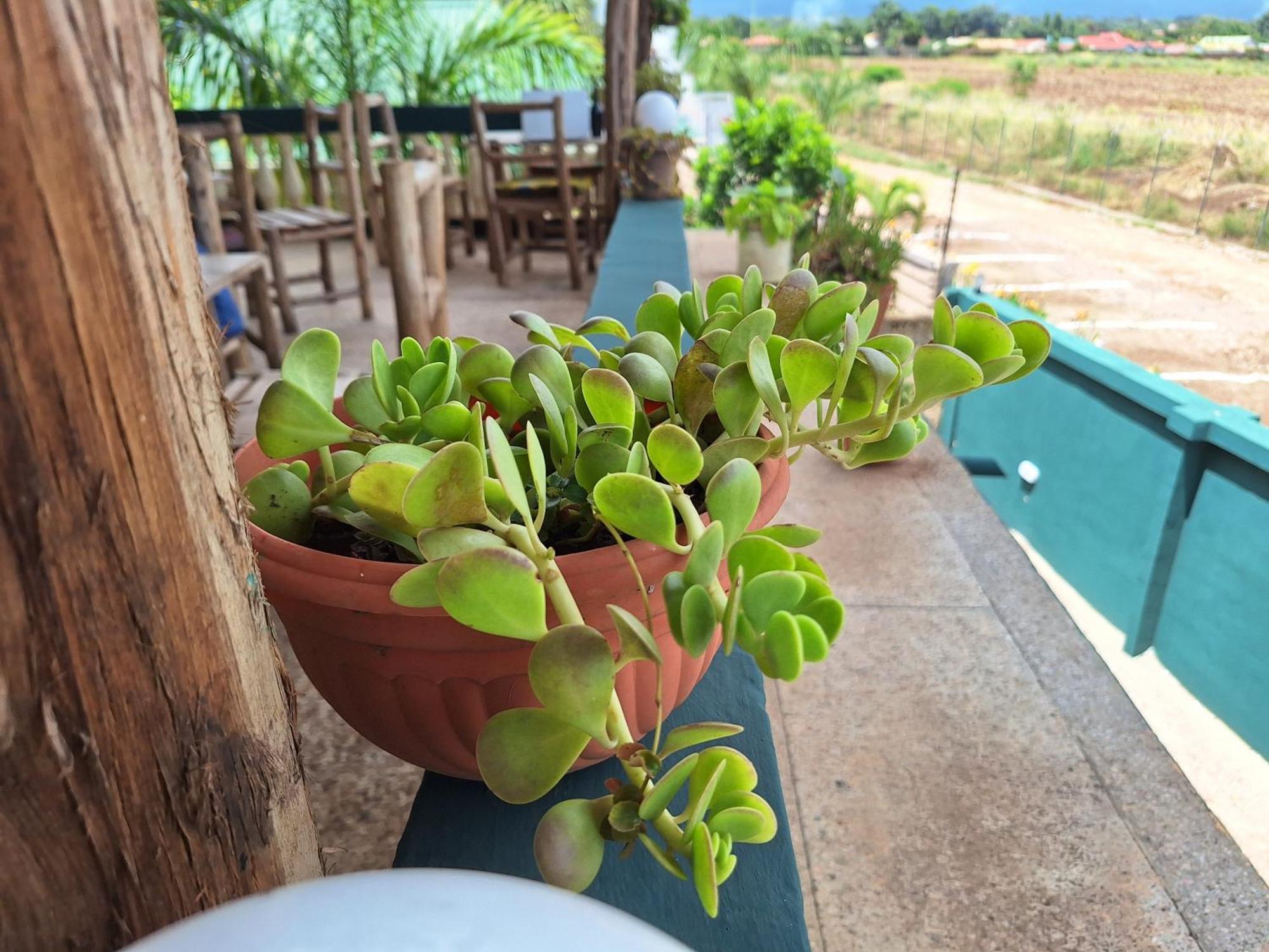 Hill View Garden Hotel موشي المظهر الخارجي الصورة